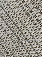 Carpetisem