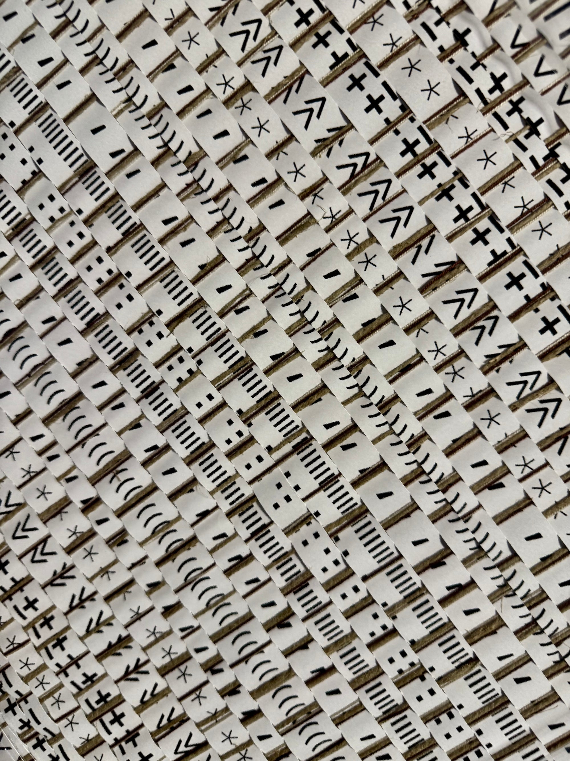 Carpetisem