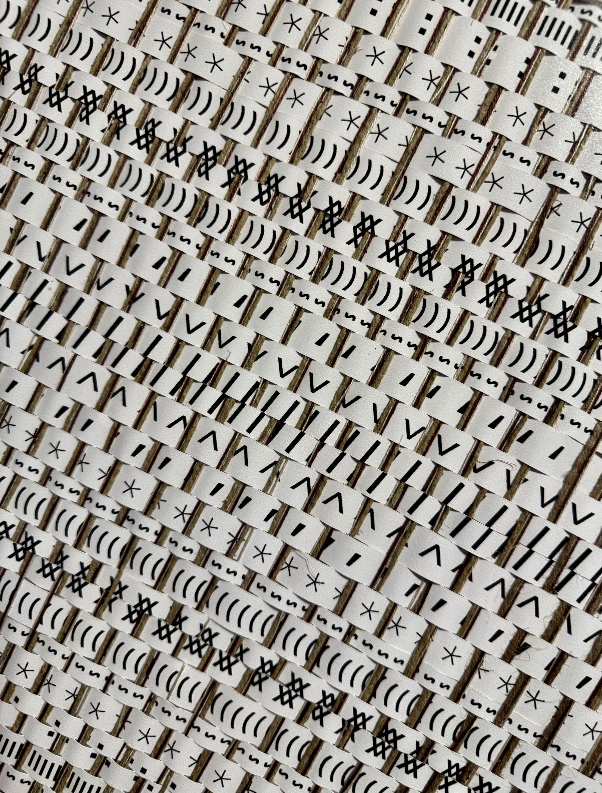Carpetisem
